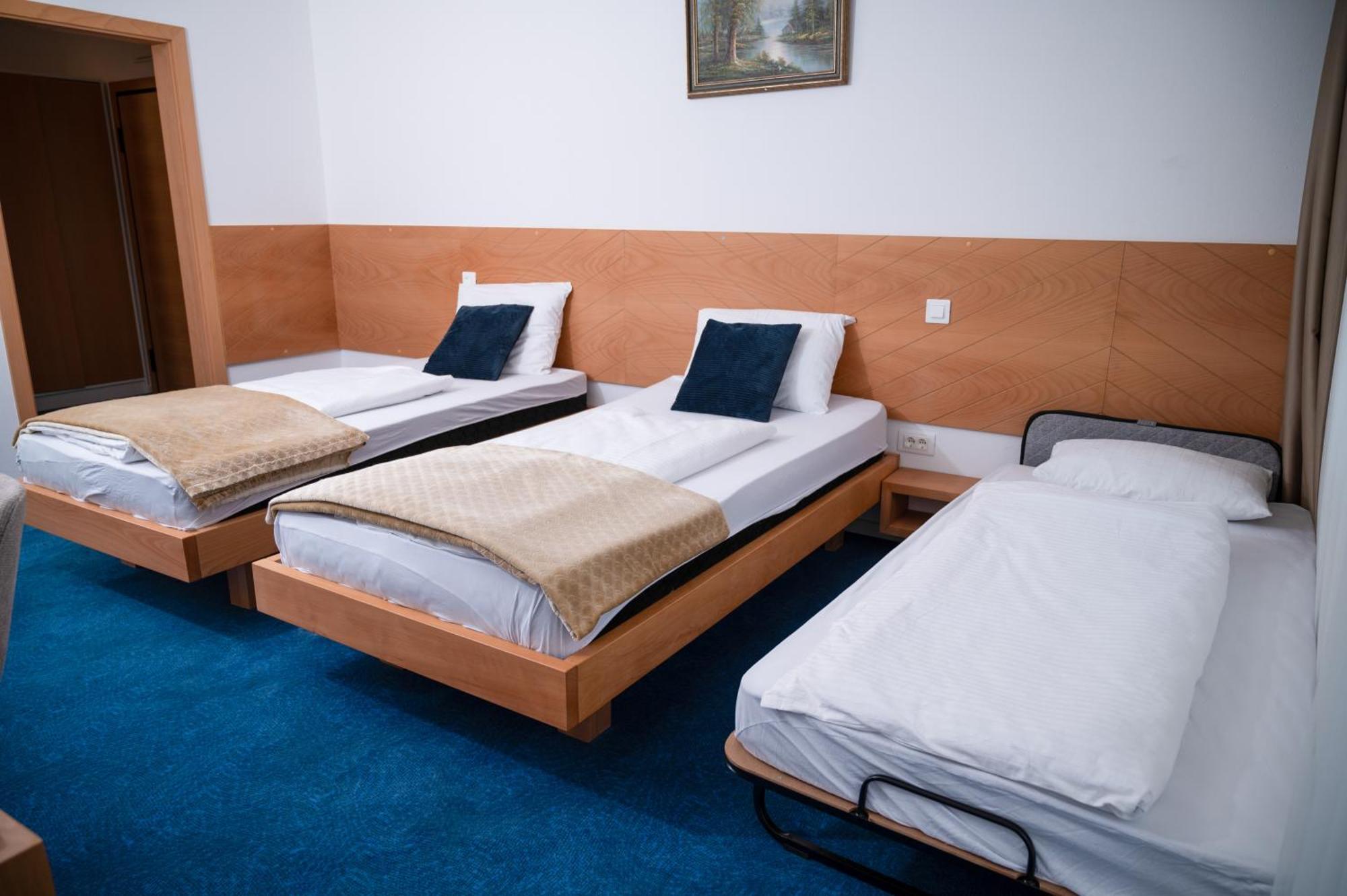 Hotel Borovi Forest & Sjenica